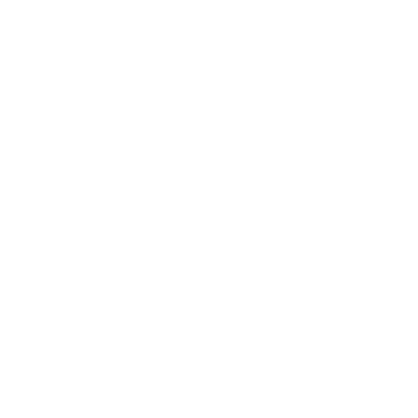 Bitso Wallet logo