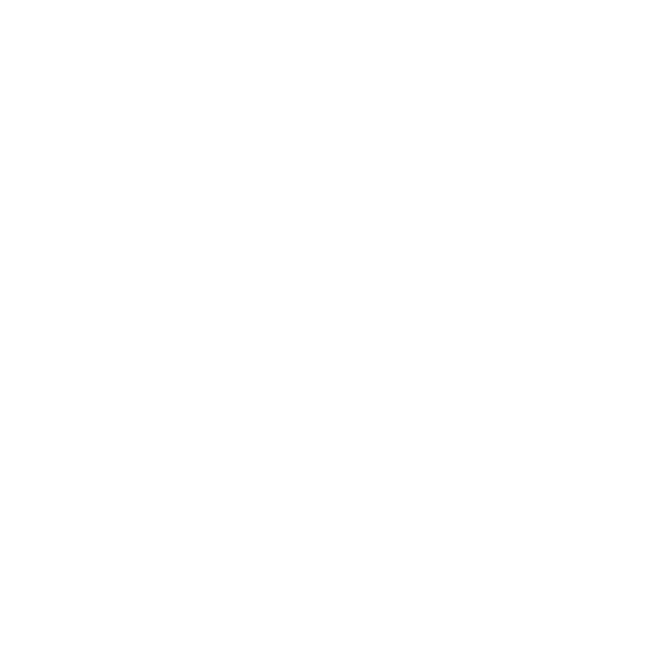 Oasys Passport logo